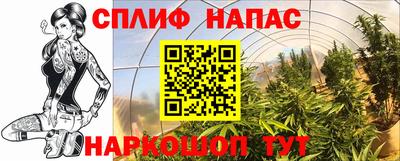 мдпв Ирбит
